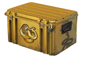 CS:GO Case